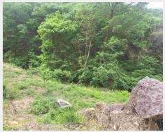  2024Ÿ��2710  �Ӿ߰��