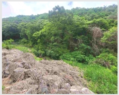  2024Ÿ��2710  �Ӿ߰��