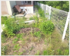  2024Ÿ2772   õ õ 331-7      ð