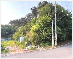  2024Ÿ2901   缭  353-5      (Ӿ)