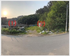  2024Ÿ2901   缭  353-5      (Ӿ)