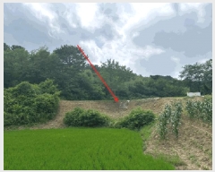  2024Ÿ3546  ֽ Ÿ ǳ 414-1      ()