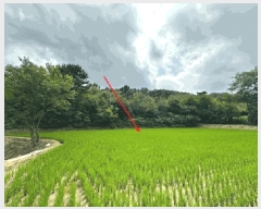  2024Ÿ3546  ֽ Ÿ ǳ 414-1      ()