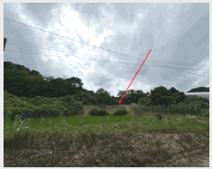  2024Ÿ3546  ֽ Ÿ ǳ 414-1      ()