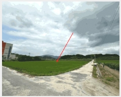  2024Ÿ3546  ֽ Ÿ ǳ 414-1      ()