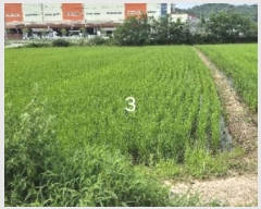  2024Ÿ3546  ֽ Ÿ ǳ 414-1      ()