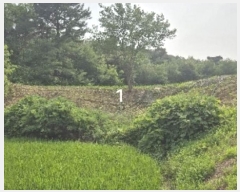  2024Ÿ3546  ֽ Ÿ ǳ 414-1      ()