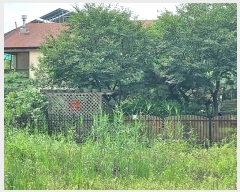  2024Ÿ��3966 ��� ���ֽ� ��õ�� ������ 859-7      ���ð��