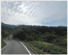  2024Ÿ��4624  �Ӿ߰��