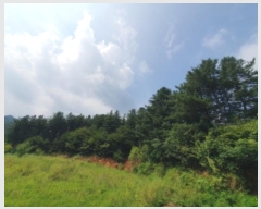  2024Ÿ��4624  �Ӿ߰��