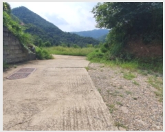  2024Ÿ��4624  �Ӿ߰��