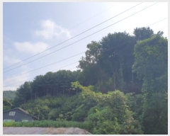  2024Ÿ��4624  �Ӿ߰��