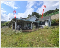  2024Ÿ��4976  ���ð��