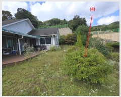  2024Ÿ��4976  ���ð��