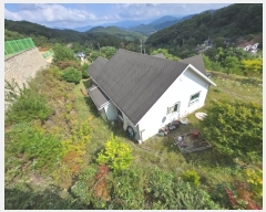  2024Ÿ��4976  ���ð��