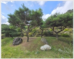  2024Ÿ��4976  ���ð��