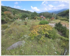  2024Ÿ��4976  ���ð��