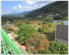  2024Ÿ��4976  ���ð��