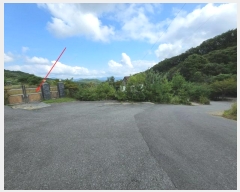  2024Ÿ��4976  ���ð��