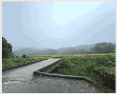  2024Ÿ5122     14-1      (Ӿ)