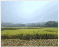  2024Ÿ5122     14-1      (Ӿ)