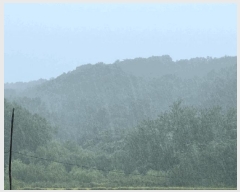  2024Ÿ5122     14-1      (Ӿ)