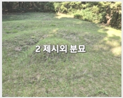  2024Ÿ5122     14-1      (Ӿ)