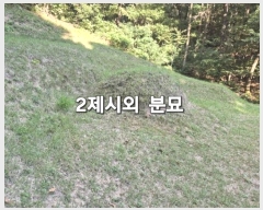  2024Ÿ5122     14-1      (Ӿ)