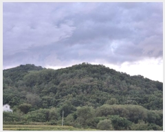  2024Ÿ5122     14-1      (Ӿ)