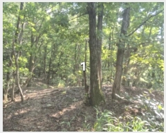  2024Ÿ5122     14-1      (Ӿ)