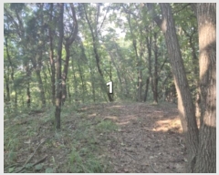  2024Ÿ5122     14-1      (Ӿ)