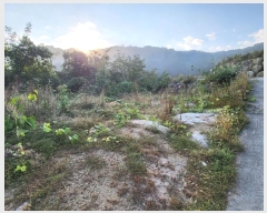  2024Ÿ5207   ϸ  1123-11      (Ӿ)