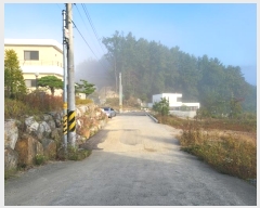  2024Ÿ5207   ϸ  1123-11      (Ӿ)