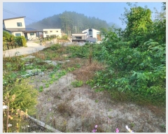  2024Ÿ5207   ϸ  1123-11      (Ӿ)