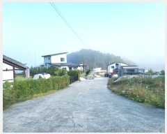  2024Ÿ5207   ϸ  1123-11      (Ӿ)