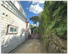  2024Ÿ5399     50-65      ð