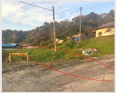  2024Ÿ��6095  �������