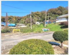  2024Ÿ��6095  �������