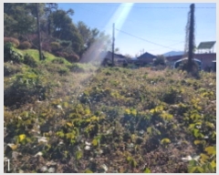  2024Ÿ��6095  �������