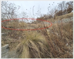  2024Ÿ��6156  �Ӿ߰��