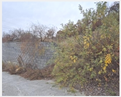  2024Ÿ��6156  �Ӿ߰��