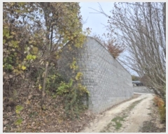  2024Ÿ��6156  �Ӿ߰��