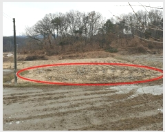  2024Ÿ��6866  ����