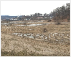  2024Ÿ��6866  ����