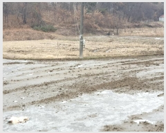  2024Ÿ��6866  ����