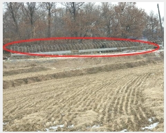  2024Ÿ��6866  ����