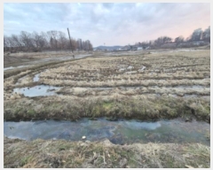  2024Ÿ��6866  ����