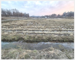  2024Ÿ��6866  ����