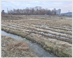  2024Ÿ��6866  ����