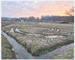  2024Ÿ��6866  ����